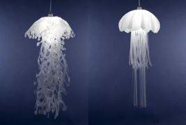 Illuminated by jellyfish - thumbnail_1