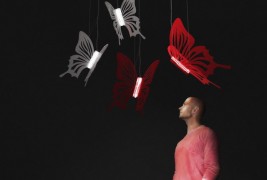 Butterflies lighting - thumbnail_2