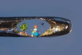 Willard Wigan - thumbnail_1