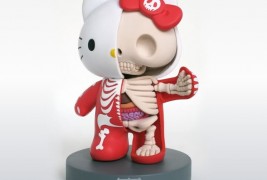 Toys anatomici - thumbnail_1