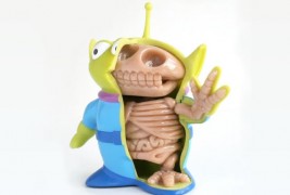 Anatomic toys - thumbnail_3