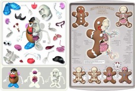 Toys anatomici - thumbnail_4