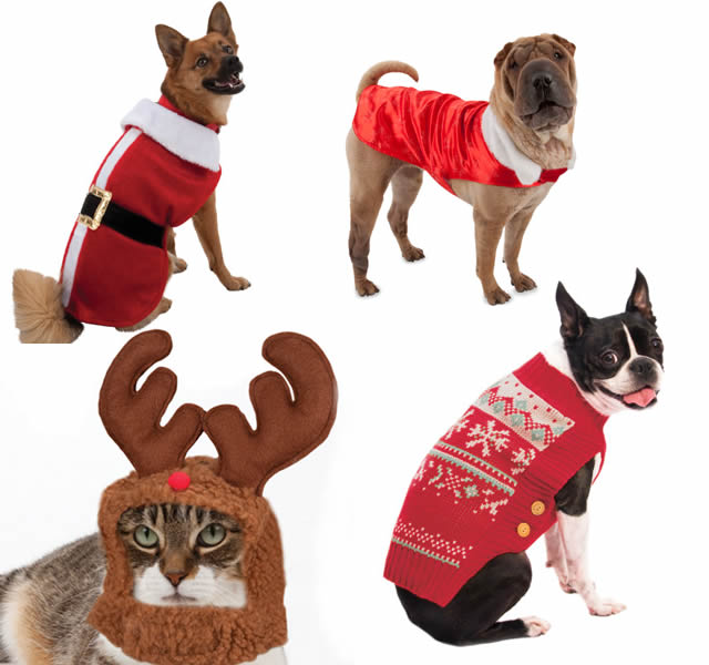 Top 10 gifts for your pets - Photo 8