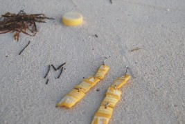 Plastic is forever - thumbnail_4