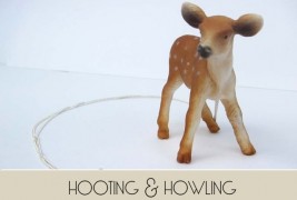 Hooting and Howling - thumbnail_3