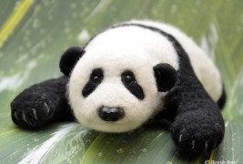 Binnie Bear - thumbnail_2