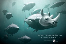 WWF Bluefin Tuna overfishing - thumbnail_3