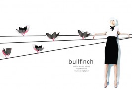 Bullfinch - thumbnail_1