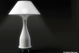 Symbiosis lamp - thumbnail_1