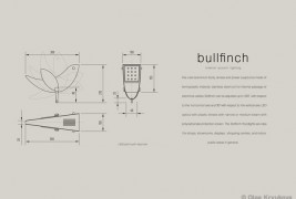 Bullfinch - thumbnail_5