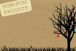 The pom-pom project - thumbnail_1