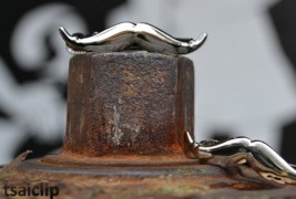 Tsaiclip - thumbnail_1