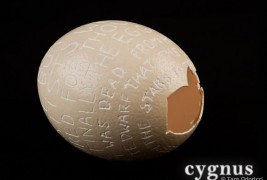 Cygnus experimental typography - thumbnail_2