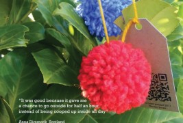 The pom-pom project - thumbnail_3