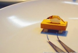 Il sushi più piccolo del mondo - thumbnail_2
