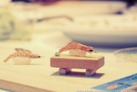 Il sushi più piccolo del mondo - thumbnail_4