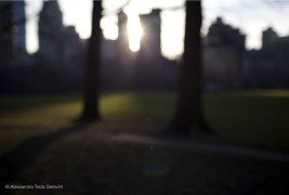 Alessandra Tecla Gerevini Photographer - thumbnail_6