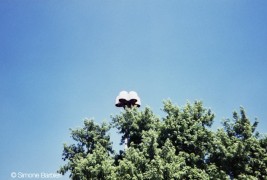 Simone Barbieri Fotografo - thumbnail_4