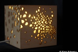 Light in / Light out - thumbnail_6