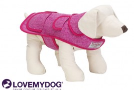 LoveMyDog - thumbnail_4