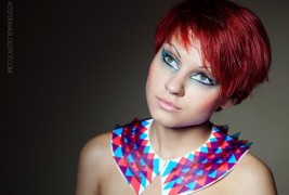 The Collar Project