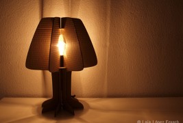 Eco-lamp - thumbnail_1