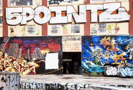 Save the 5Pointz