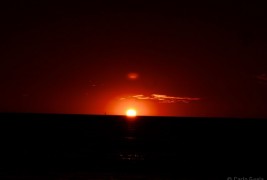 Carlo Guaia Photographer - thumbnail_6