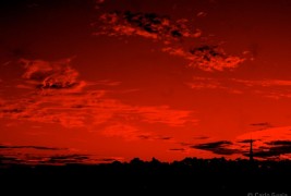 Carlo Guaia Photographer - thumbnail_8