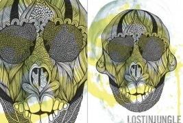 Skulls by Lostinjungle
