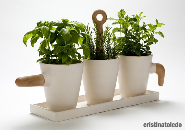 Kitchen herb in pot | Image courtesy of Cristina Toledo