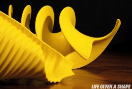 Life Given A Shape - thumbnail_3