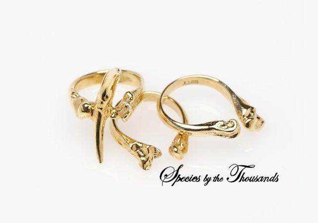 Tooth And Bone Ring Set | Image courtesy of Species by the Thousands