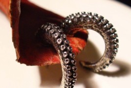 OctopusMe jewels - thumbnail_4