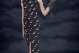 Charlotte Taylor fall/winter 2012 - thumbnail_8