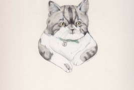 Drawings by Sarah McNeil - thumbnail_8