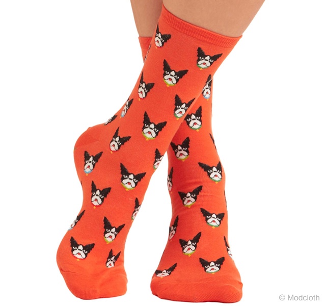 Boston Terrier socks | Image courtesy of Modcloth