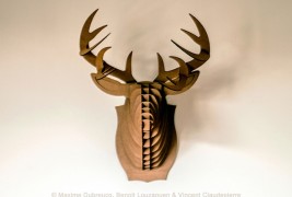 Dall’ombra alla vita - thumbnail_2