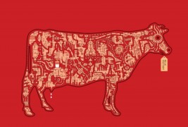 Illustrazioni by Barney Ibbotson - thumbnail_2