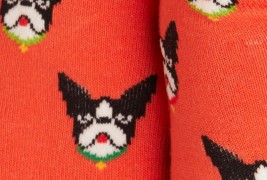 Boston Terrier socks - thumbnail_2