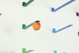 NEWTON: raccogli i frutti - thumbnail_2