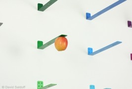 NEWTON: picking fruit - thumbnail_2