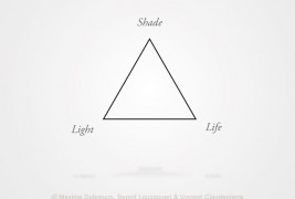 From shade to life - thumbnail_4