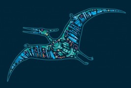 Illustrazioni by Barney Ibbotson - thumbnail_5