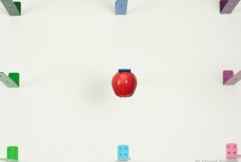 NEWTON: raccogli i frutti - thumbnail_5