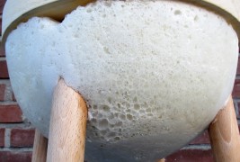Sgabello by Johan Viladrich - thumbnail_3