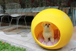 Collezione Arquipets - thumbnail_5