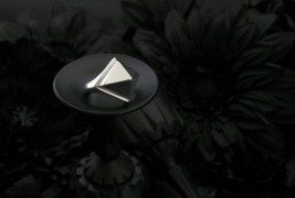 Shadowplay by Holly Howe - thumbnail_5
