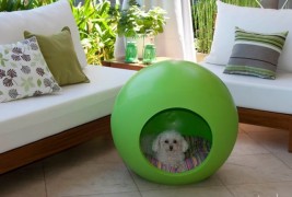 Collezione Arquipets - thumbnail_7