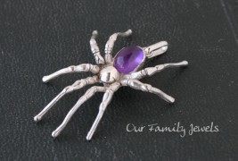 Our Family Jewels - thumbnail_1